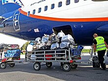 Госдума одобрила запрет бесплатного багажа в самолетах