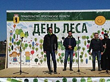 В Даниловском районе высажен новый сосновый бор