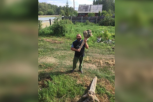 «Удар» — Собянину: самый сильный человек России сделал дубину для мэра Москвы