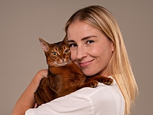 Топ-3 подарков для домашних животных на Новый год