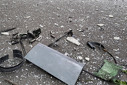 Власти Липецкой области наградят обезвредивших остатки беспилотника взрывотехников