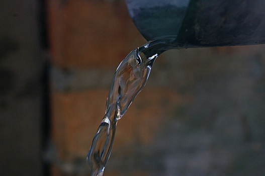 Жителей Бибирева предостерегли от питья воды из родника в Алтуфьевском заказнике