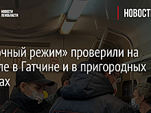 «Масочный режим» проверили на вокзале в Гатчине и в пригородных поездах