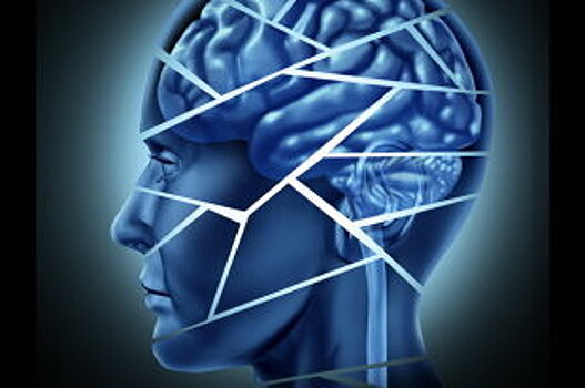 Новосибирские генетики вывели крыс-шизофреников