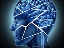 Новосибирские генетики вывели крыс-шизофреников