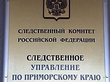 В приморском Лучегорске на крыше школы избили несовершеннолетнюю, СК проводит проверку