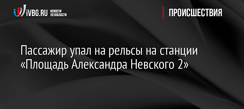 Пассажир упал на рельсы на станции «Площадь Александра Невского 2»