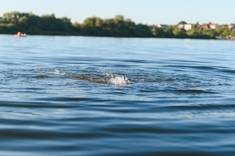 78.ru: в петербургской Фонтанке нашли женщину без признаков жизни