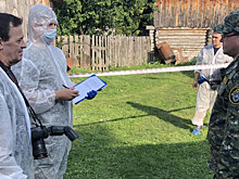 Подозреваемый в убийстве семьи под Ульяновском юноша не состоял на учете у психолога