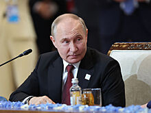 Путин пошутил, приглашая кинематографистов в Кремль