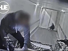 Шведские грабители на ходу залезли в фуру с гаджетами