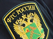 Счётная палата выявила нарушения ФТС на 459 млн рублей