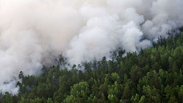 Площадь лесных пожаров в РФ в зоне активного тушения уменьшилась за сутки