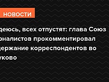 Надеюсь, всех отпустят: глава Союза журналистов пообещал помочь задержанным во Внуково коллегам
