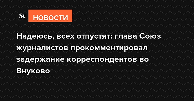 Надеюсь, всех отпустят: глава Союза журналистов пообещал помочь задержанным во Внуково коллегам