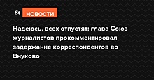 Надеюсь, всех отпустят: глава Союза журналистов пообещал помочь задержанным во Внуково коллегам