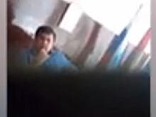 Власти Оренбурга начали вывозить бездомных собак из района, где стая загрызла ребёнка