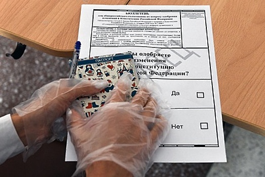 Жители Подмосковья начали голосовать по поправкам в Конституцию