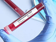 За прошедшие сутки в Тамбовской области коронавирусом заболели 42 человека