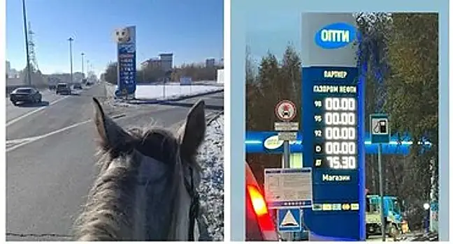 Житель Новосибирска пересел на лошадь из-за дефицита топлива