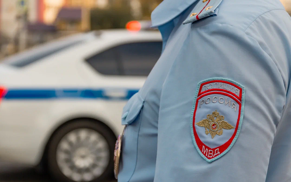 В Рязани полиция задержала серийных воров