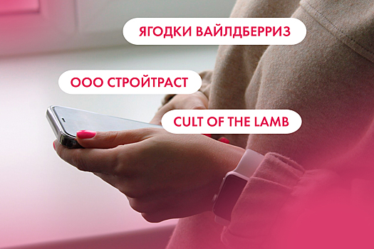 Ягодки "Вайлдберриз", ООО "Стройтраст" и Cult of the Lamb. Что ищут омичи в интернете 16 августа