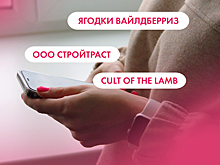 Ягодки "Вайлдберриз", ООО "Стройтраст" и Cult of the Lamb. Что ищут омичи в интернете 16 августа