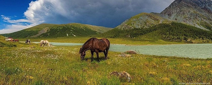 В Алтайском крае планируют привлекать туристов с помощью геймификации