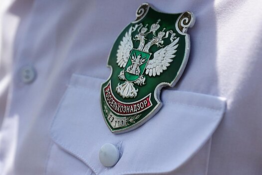 У челябинского производителя кормов для животных аннулировали пять деклараций соответствия