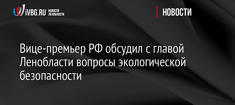Вице-премьер РФ обсудил с главой Ленобласти вопросы экологической безопасности