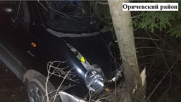 В Оричевском районе нетрезвая автоледи на «Матизе» влетела в дерево