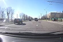 В Минске из грузовика выпала корова