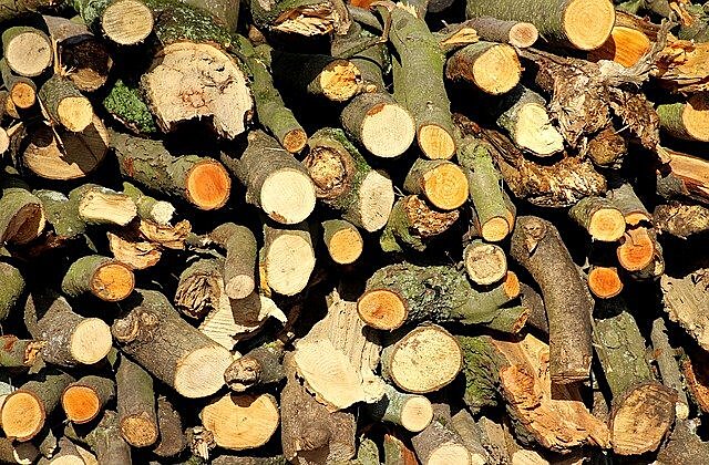 В Новосибирске напротив ТЦ «Мегас» незаконно вырубили деревья на 3 млн рублей