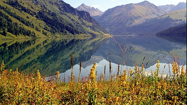 В какие места России хотят отправиться туристы в 2026 году