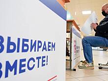 Явка на выборы в Госдуму в Московской области составила 41 процент