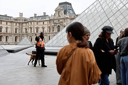 Потомки Наполеона расстроились из-за украденных из Лувра фамильных украшений