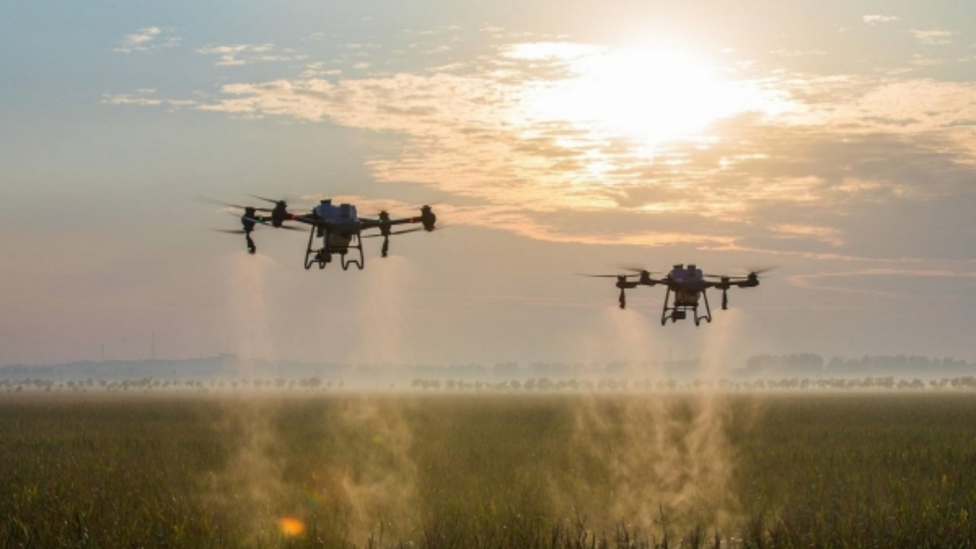 Киев атакует российские позиции дронами с токсинами