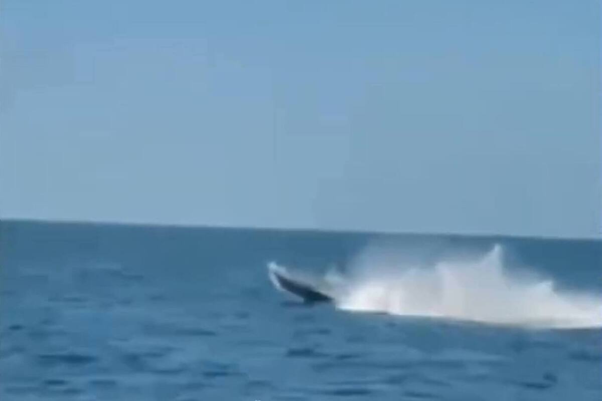 Румыния уничтожила украинский морской дрон у своих берегов