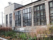 Власти Казани об исторической части зоопарка: "Его посетит Рустам Минниханов, надеемся на конкретные решения"