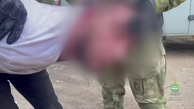 Полицией Благовещенска задержан подозреваемый в противоправных действиях в отношении девушки