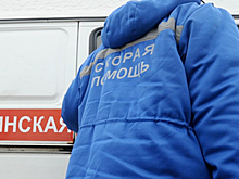 На Камчатке на Авачинском лыжном марафоне пострадал спортсмен