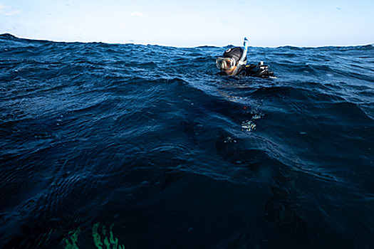 Вода в Средиземном море прогрелась до экстремальных температур
