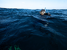 Вода в Средиземном море прогрелась до экстремальных температур