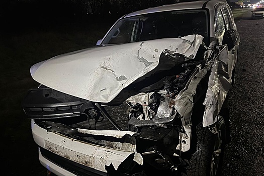 В Северной Осетии три автомобиля столкнулись с коровой