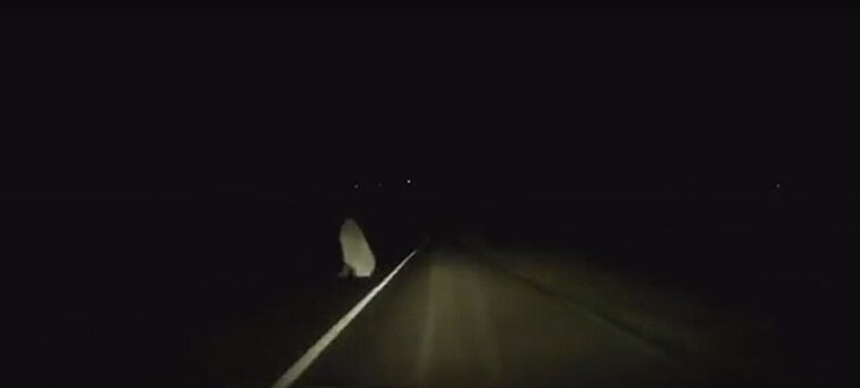 Водитель снял на видео привидение на ночной дороге в уезде Бузэу
