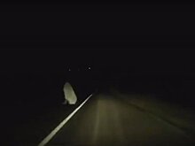 Водитель снял на видео привидение на ночной дороге в уезде Бузэу