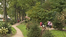 «Тропа здоровья»: В Чкаловске местные жители создали мини-парк
