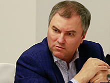 Володин поручил проанализировать рост цен на стройматериалы в РФ