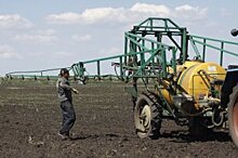 Аграрный сектор России перешел в фазу стабилизации