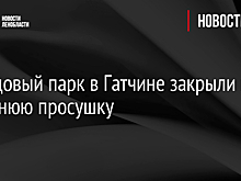 Дворцовый парк в Гатчине закрыли на весеннюю просушку